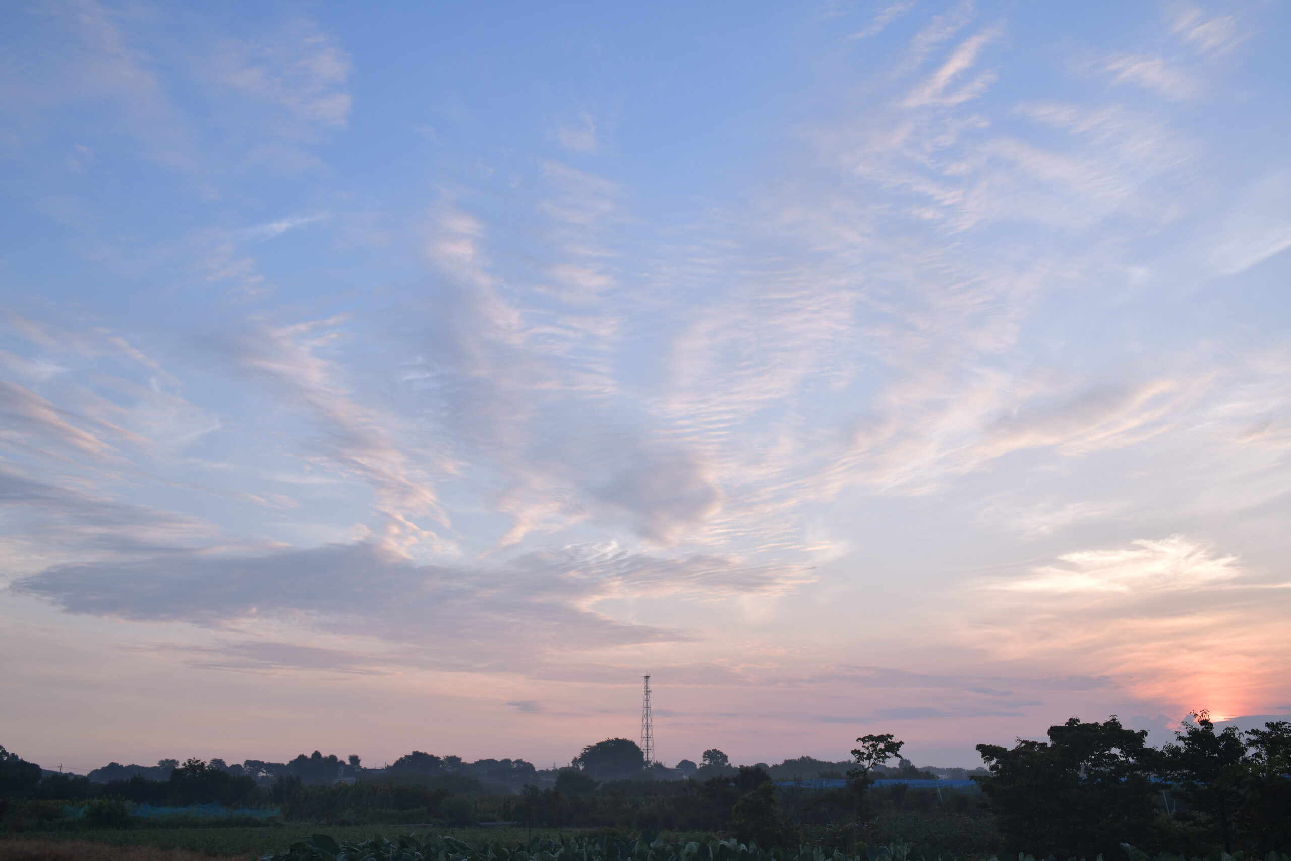 夕焼けの画像